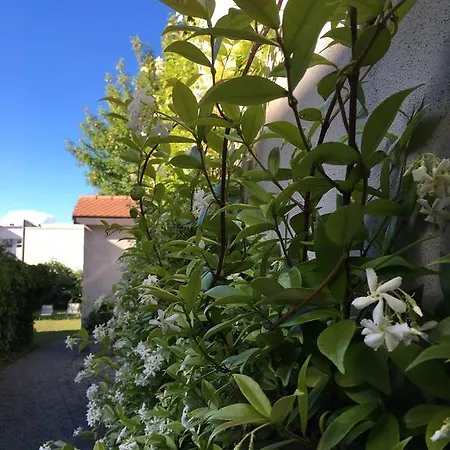 Du Theatre, Boutique Ивердон-ле-Бен