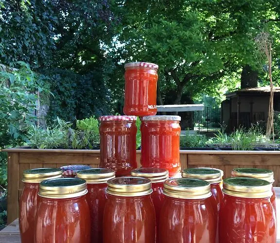 Hotel Du Theatre, Boutique Yverdon-les-Bains