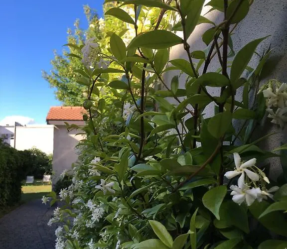 Du Theatre, Boutique Yverdon-les-Bains